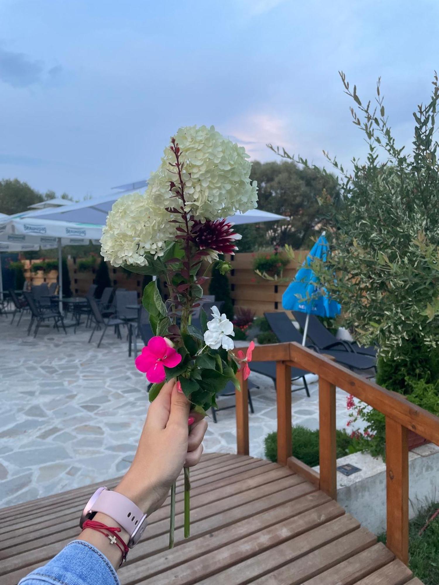 ולינגראד Villa Pino מראה חיצוני תמונה